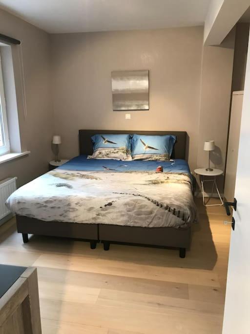 Casita Ostend City & Beach Buitenkant foto