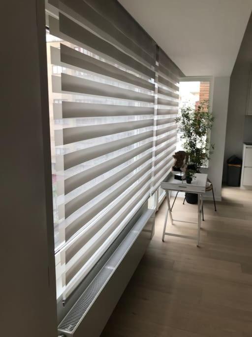 Casita Ostend City & Beach Buitenkant foto